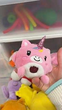 I bet you don’t have 23 unicorn fidgets! 🦄 ​⁠‪@MrsBench‬