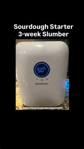 Tom Cucuzza on Instagram: "How do you keep a starter alive for three weeks without feeding it, and without refrigerating it? I was away from my home for a few weeks and could not take my starter with me. This is my ‘never-refrigerated” starter that I keep at room temp and feed twice a day. This was the longest break without feeding — 23 days — so i was not sure how it would work out. Here is the method I used: Mix 20g starter with 40g flour and 30g water — a slightly stiff mix. Cover the mixed s