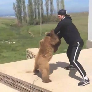 Who remembers the video of him wrestling a bear as a kid? | Funny MMA