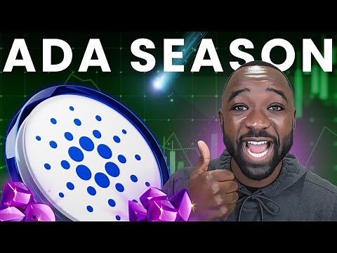 HUGE Cardano Update: Top Tokens, DeFi, & Stablecoins Uncovered!