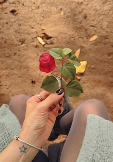 Descubra o app gratuito Spring para vídeos