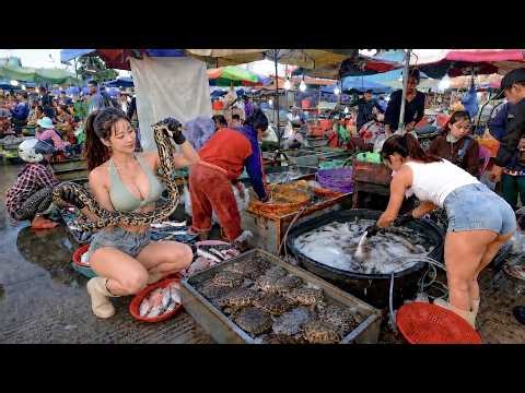 Inside Cambodia’s Morning Fish Market 🐟 Real Daily Life (No Tourists!)