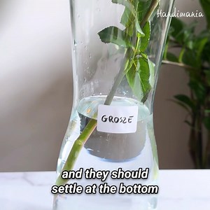How to keep roses alive in a vase longer? We have tested popular online tricks. Find out which ones really work! 🤩🌹🥀 | Handimania