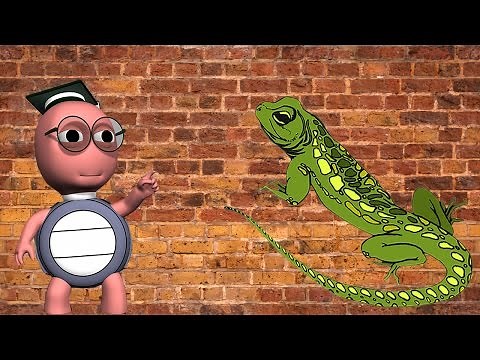 How Do Lizards Climb Walls - What Makes Lizards 'Stick' To The Wall When They Are Crawling- For Kids