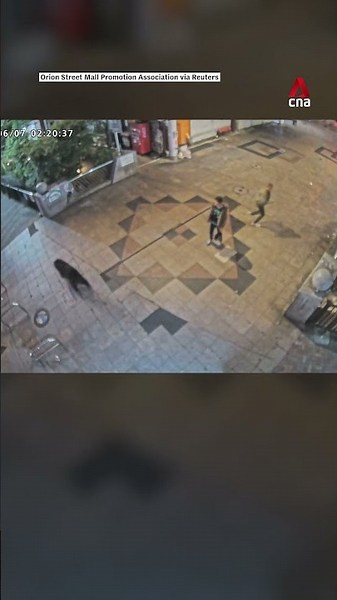 Japanese city suspends 94 schools after first-ever bear sighting