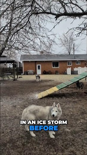 INSANE Ice Takeover in Alpena, Michigan! 🥶 (2025 Storm)