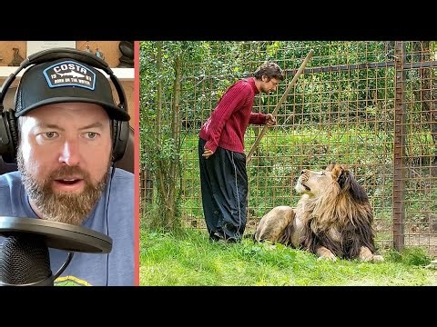 Lion Mauls Czech Man in His Own Backyard