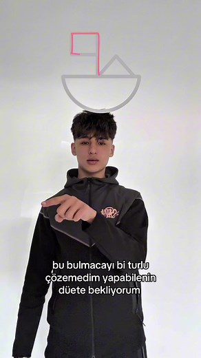 Online İşbirliği ile Bulmaca Çözme Deneyimi