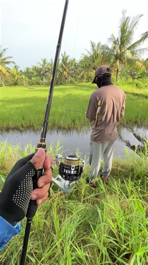 umpan gacor🔥#hobimancing🐟🎣 #jumpfroghandemade #jumpfrog #gabusbabon #anglergabus🎣🇵🇸