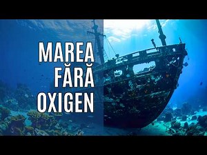 De ce Marea Neagră este diferită de toate celelalte mări de pe Pământ? 🌊