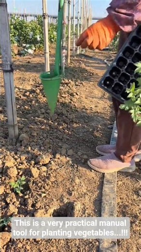 This is a very practical manual tool for planting vegetables...!!!