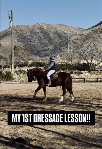 First Dressage Riding Lesson Experience
