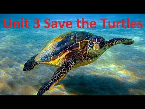 Unit 3 Save the Turtles - listening english practice