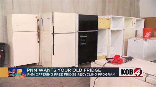 Program lets people recycle their fridge and get paid for it