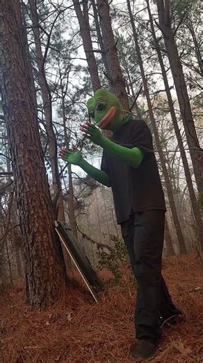 frog forest piano improv