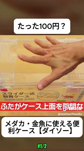 ダイソーの便利なメダカ飼育ケースの紹介