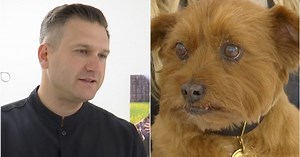 „TV pagalbos“ veterinaras – apie unikalų gydymą vėžiu sergančiam šuniui: „Navikas tiesiog išverda“