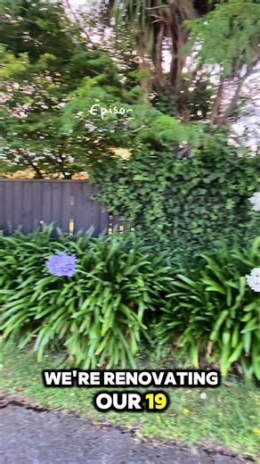 Transforming the Driveway: DIY Plant Recommendations