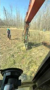 Unbelievable Excavator Tree Uproot | Amazing Skills 🌳⚡| Ep 52 #Shorts