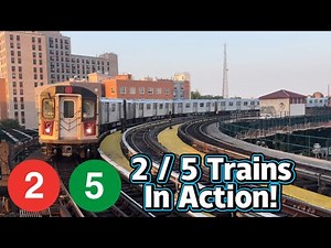 2 and 5 Trains In Action! | The Bronx Only! | MTA