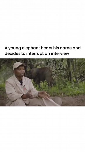 Hilarious Ted on Reels