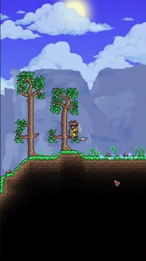 The Most Satisfying Terraria Edit Ever 🏆🌌