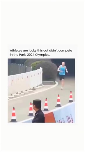 Fact | History | News on Instagram: "Athletes are truly fortunate that this cat was not part of the Paris 2024 Olympics because the level of confidence and speed on display would have rewritten the record books. While the runner pushes forward with full focus, the cat moves with effortless precision, as if the track belongs entirely to it. There is something undeniably entertaining about watching pure natural instinct glide past human determination. The contrast makes the moment even funnier. Th