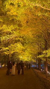 5K views · 105 reactions | On this beautiful autumn night  #autumnvibes #japan #tokyo #beautifuljapan | Routine of Japan | Facebook