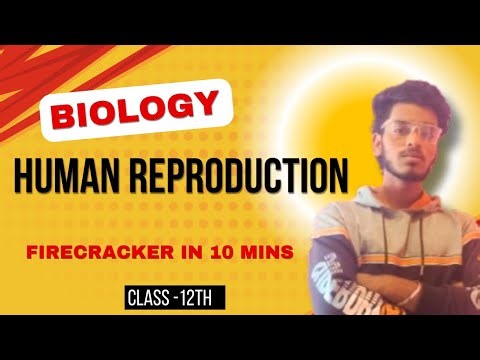 Human Reproduction| Class 12 | Biology| Revision in 10 MINS 🔥