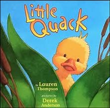 Little Quack