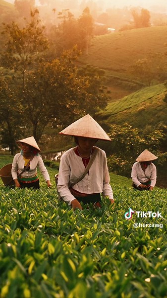 At least my photos look like this straight out of camera ✨ #fujifilm #fujifilmxm5 #fujifilmx100vi #photography