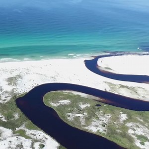 47K views · 301 reactions | Come explore the beautiful beaches & coastal dune lakes of Grayton Beach State Park in Santa Rosa Beach, Florida. | VISIT FLORIDA | Facebook