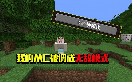 当MC被调成无敌模式，根本死不掉，那我们该怎么样才能死【我的世界Minecraft】