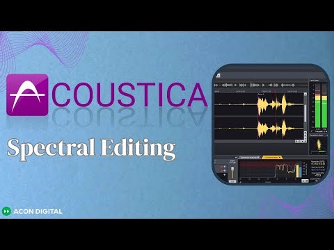 Acoustica 11: Spectral Editing (Removing Guitar Slide Noise)