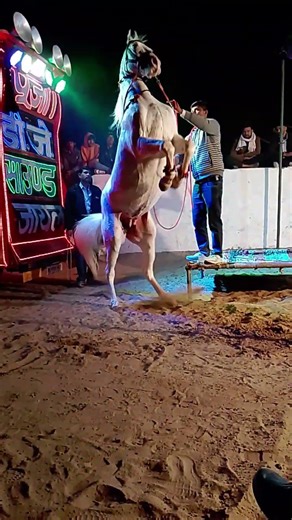 #🤘pooja Brand DJ Jayal Nagaur #😈