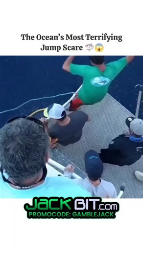 DISCOVER HQ🌍 on Instagram: "Off the coast of Guadalupe Island, known for its crystal-clear waters and massive shark populations, a team of researchers and enthusiasts witnessed a breathtaking display of predatory instinct. As the bait was drawn near the vessel, a massive Great White Shark emerged from the depths with explosive kinetic energy, breaching the surface in a matter of milliseconds. This behavior is a tactical hunting method used to surprise seals, ensuring the prey has zero chance of