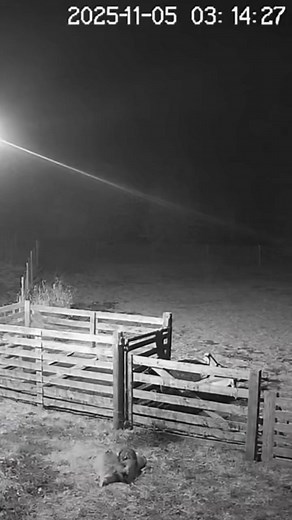 366K views · 7.2K reactions | Late-night security footage from a...