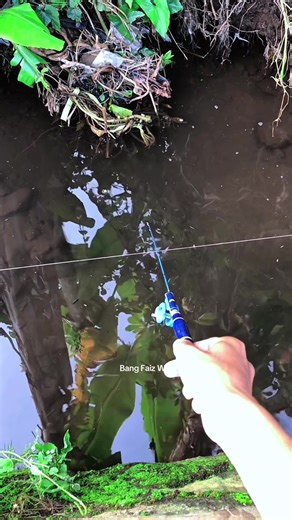 Bang Faiz Woi fishing story method