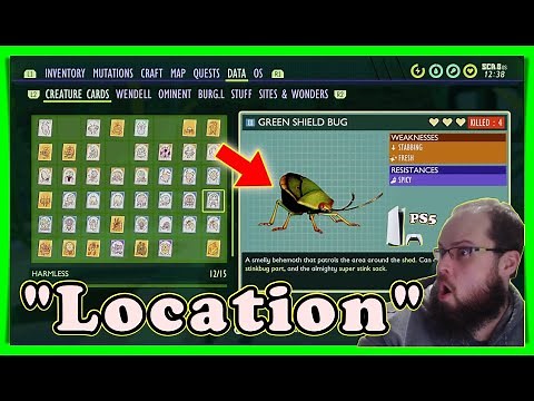 Grounded Green Shield Bug Location