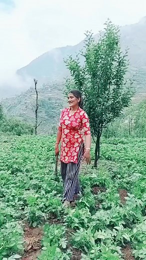 Gauko KO Maya #reelsviralシfb #sudurpashchim #goviral | Shreejana Siru Thapa