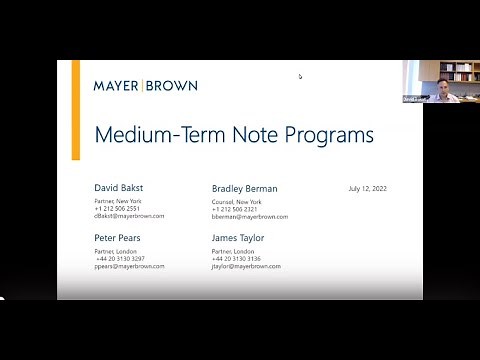 Medium-Term Note Programs
