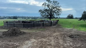 Someone didn’t pay for the gym membership Video Credit - Jay Lopez | Kelly L Lopez Jewelry