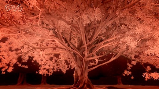 ＮＨＫスペシャル　人体　ミクロの大冒険｜番組｜NHKアーカイブス