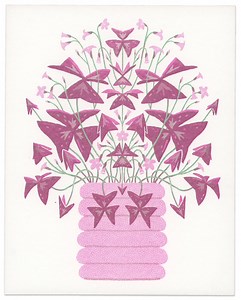 Oxalis Triangularis – Risograph Print - Etsy