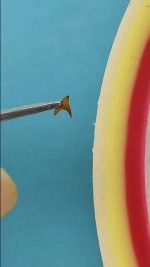 Proper Splinter Removal Techniques 😷 #goodtoknow #vet #medicine #funfacts #surgeonlife #survival