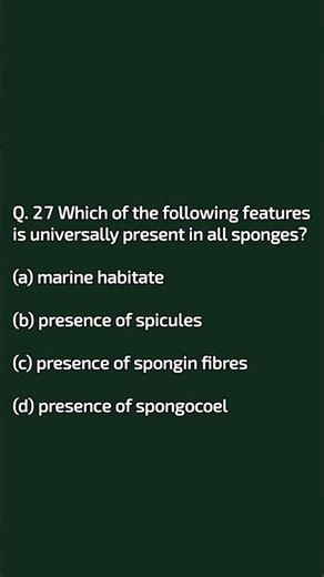 Biology Zoology Porifera #uppscltgrade #porifera #biology #viralvideo #shortsfeed