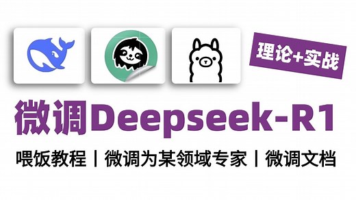 【deepseek微调教程】手把手教你DeePseek-R1 微调为某个领域的专家？从理论到实战，保姆级教程，小白也能轻松学会！