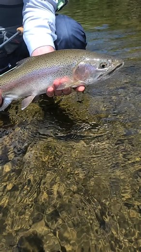 Gerardo Santos Tsuji (Hito), EPA at Patagonia Trashumante FF on Instagram: "Flyfishing small dries in North Neuquen"