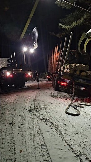 wrong turn part.3 #leśnaprzygoda