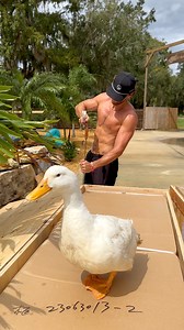 77K views · 3.9K reactions | Buying a MEGA Turtle Tank  | Tooturnttony | Facebook